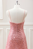 Sparkly A Line Blush Sequins Beaded Mini Dress