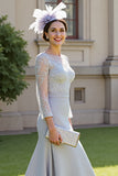 A Line Silver Appliqued Mother Of The Bride Dress