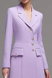 Long Sleeve Lilac A Line Work Dress
