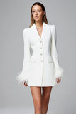 Ivory Long Sleeve Mini Work Dress with Feathers