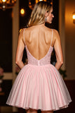 Corset Blush A Line Sequin Homecoming Dress