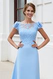 Sky Blue A Line Appliqued Mother of the Bride Dress with 3D Flowers