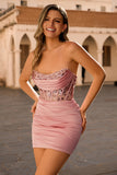 Blush Strapless Corset Ruched Bodycon Homecoming Dress With Appliques