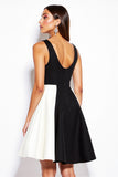A-Line V-Neck Black And White Mini Dress
