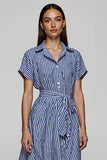 Stripe A Line Blue Laple Neck Work Dress