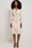 Apricot Long Sleeve V-Neck Sheath Work Dress