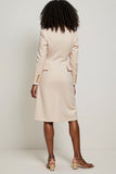 Apricot Long Sleeve V-Neck Sheath Work Dress