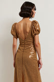 Brown A Line Midi Dress with Sequins