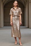 Sparkly Champagne Sheath Work Dress with Sequins