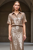Sparkly Champagne Sheath Work Dress with Sequins