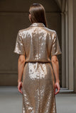 Sparkly Champagne Sheath Work Dress with Sequins