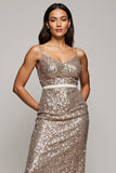 Sparkly Golden Spaghetti Straps Cocktail Dress with Sequins