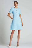 Single Breasted A Line Blue Mini Dress