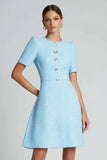 Single Breasted A Line Blue Mini Dress