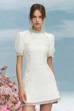 White A Line Mini Dress with Short Sleeves