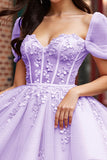 Corset Blush Appliqued Tulle Homecoming Dress