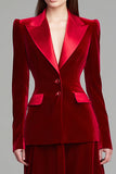 2-Piece Velvet Burgundy Work Dress