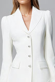 Ivory Long Sleeve Mini Work Dress with Feathers