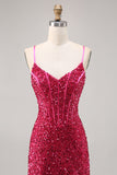 Sparkly Fuchsia Tight Corset Homecoming Dress