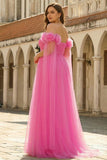 Off the Shoulder 3D Flower Hot Pink Plus Size Prom Dress