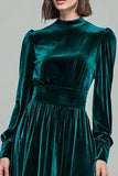 Peacock Green A-Line Velvet Holiday Party Dress With Long Sleeves