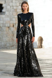 Sparkly Black A-Line Cut Out Long Sleeve Maxi Evening Dress