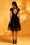 Lace A-Line Little Black Dress with Short Sleeves