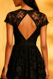 Lace A-Line Little Black Dress with Short Sleeves