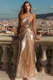 Sparkly Gold One Shoulder Maxi Prom Dress