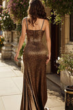 Mermaid Brown Leopard Spaghetti Straps Prom Dress with Beading