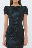 Sparkly Sheath Black Tie Dress with Short Sleeves