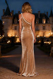Velvet One Shoulder Mermaid Champagne Maxi Holiday Dress With Pearls