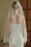 Ivory Lace Embroidered Bridal Veil With Comb Attachment