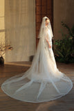 Elegant Ivory Chapel Length Bridal Veil
