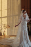 Elegant Ivory Chapel Length Bridal Veil