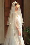 Elegant Ivory Chapel Length Bridal Veil