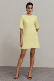 Light Yellow A Line Round Neck Short Work Dress