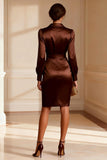 Long Sleeve Bodycon Chocolate Mother of the Bride Dress