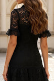 Lace Short Slleeve Little Black Dress with Ruffles