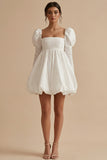 Long Sleeve A Line Mini White Dress