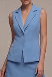 Steel Blue 2 Piece Notched Lapel Bodycon Mini Work Dress