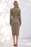 Ruched One Piece Notched Lapel Work Dress With Slit