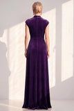 Dark Purple Sheath V-Neck Maxi Velvet Dress
