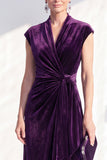 Dark Purple Sheath V-Neck Maxi Velvet Dress