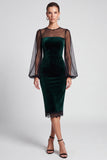 Sheath Dark Green Sheer Long Sleeve Midi Velvet Dress