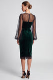 Sheath Dark Green Sheer Long Sleeve Midi Velvet Dress