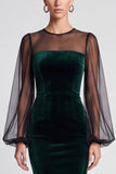 Sheath Dark Green Sheer Long Sleeve Midi Velvet Dress
