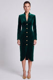 Velvet Sheath High Neck Dark Green Midi Work Dress