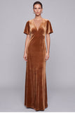 Brown Sheath Maxi Velvet Dress With Short Sleeves