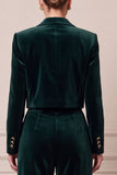 2 Piece Peak Lapel Navy Single Breasted Velvet Women Suits